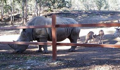 La Reserva del Castillo de Las Guardas