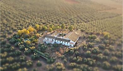 Fotos Hacienda Molino Blanco