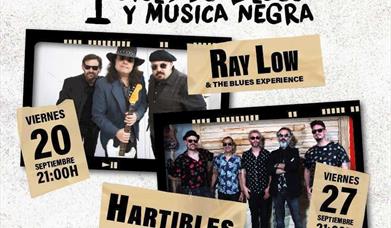 Ciclo de blues y música negra