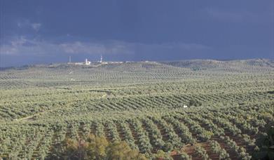 Jaén