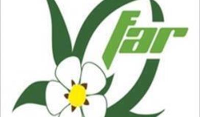 Federación Andaluza de Rugby