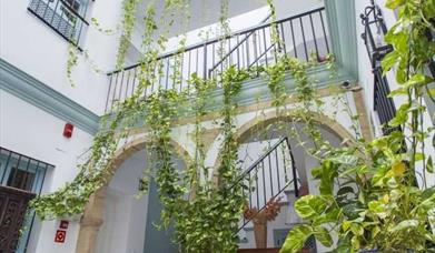 Apartamentos Suites Santa Cruz