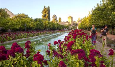 Alcázar de los Reyes Cristianos