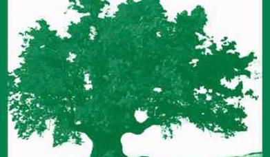 Al Andalus Photo Tour