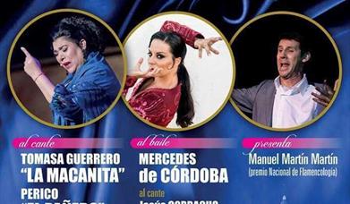 II FESTIVAL FLAMENCO