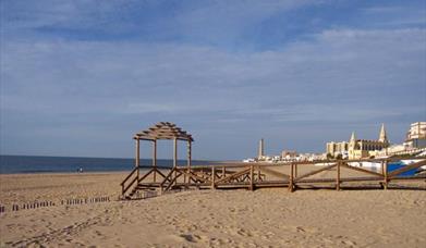 Camarón - La Laguna