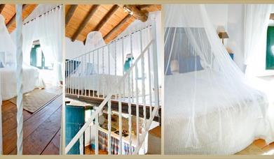 El Palomar - Finca La Vicaría