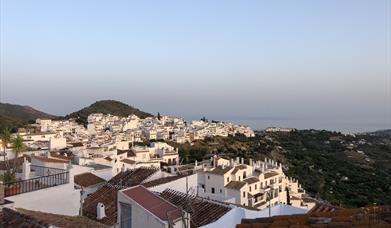 View from private roof terrace