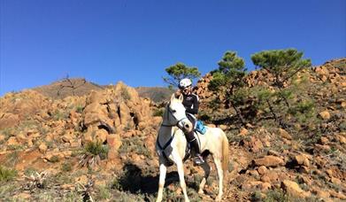 Club Deportivo Ecuestre Espíritu del Viento