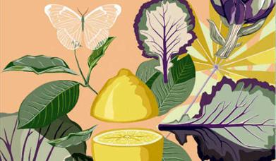 Jornadas Gastronómicas de la Huerta de Conil