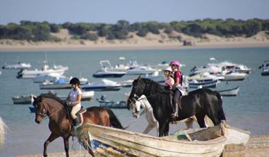 Foto del club web Club ecuestre La Arboleda