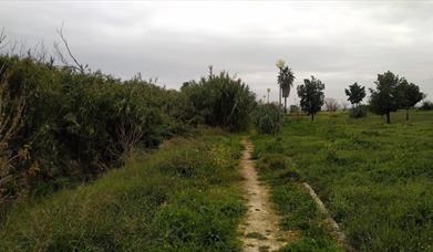 Parque Razo de Ugena web ayto Palomares del Río