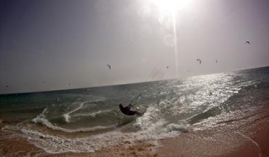 Gisela Pulido Pro Center