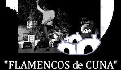 Festival Flamenco "Flamencos de Cuna"