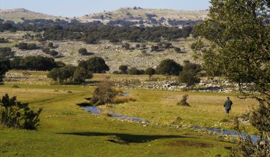 Poljé de la Nava de Cabra