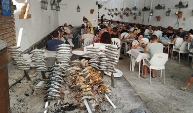 Bar Dolores El Chispa