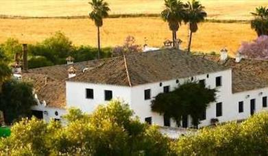 Hacienda Buena Suerte