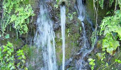 Sendero Istán – Herrizas de la Gallega – PR-A 166