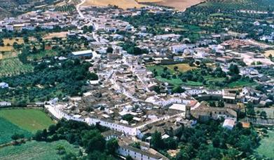 Gójar
