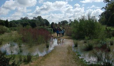 Jardín Botánico Dunas del Odiel