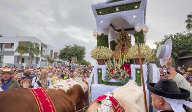 Romería de la Virgen de Valme