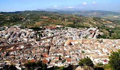 Cervera