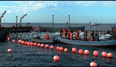 Náutica y Turismo del Estrecho - Nature Tarifa