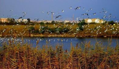 Sun Aventure Turismo Activo