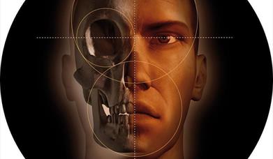 Yacimiento Arqueológico "Gadir"