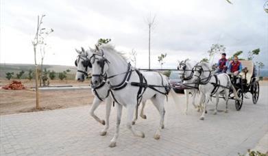 Centro Hípico La Herradura