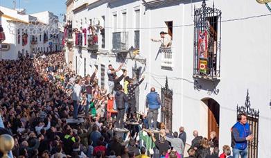 Fiestas de San Antonio Abad