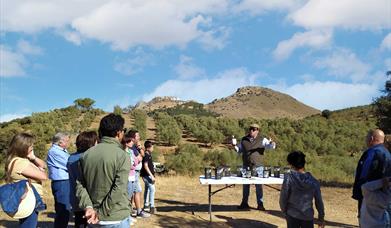 Oleoturismo Finca La Tortaita