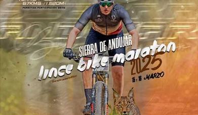 II Lince Sierra de Andújar Bike Maratón