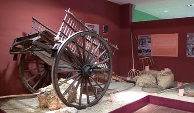 Centro Temático Campo Andaluz