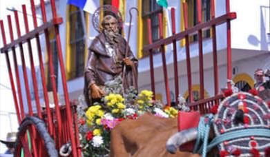 Fiestas de San Antón