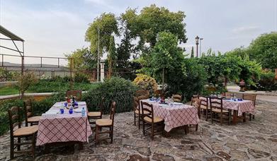 Catas de AOVE en Arjona