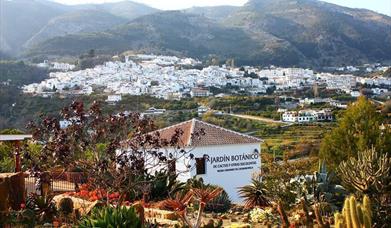 Jardín Botánico de Cactus y otras Suculentas Mora i Bravard