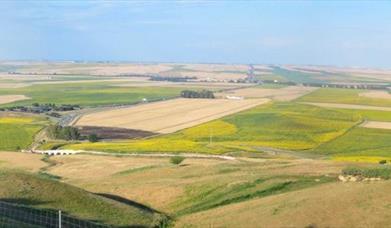 Casa Rural La Higuera