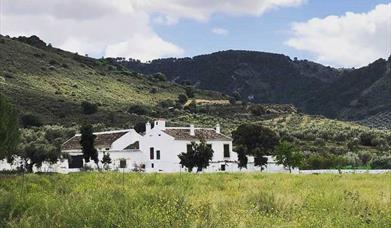 Casa Rural Cortijo Alzamigaja