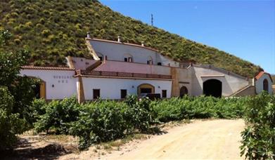 Bodegas Palenzuela García