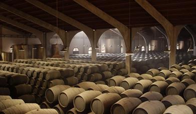 Bodegas Real Tesoro y Valdespino