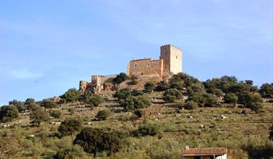 Castillo el Madroñiz