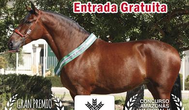 XXXII Campeonato Andalucia PRE