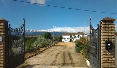 Museo del Aceite Almazara de Paulenca