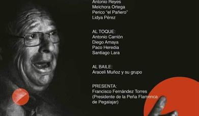 Festival de Arte Flamenco de Pegalajar