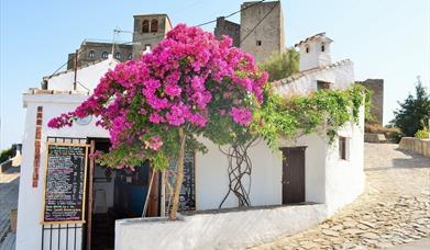 EcoTapería El Cortijo