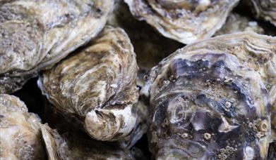 Restaurante Salicornia