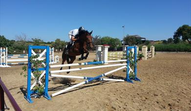 Centro Ecuestre Los Lagos