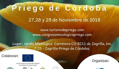 Congreso Internacional Micológico