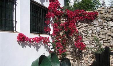 Casa Rural Casa Adriano